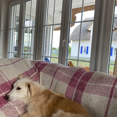 Hus Tina Ruegen 트렌트